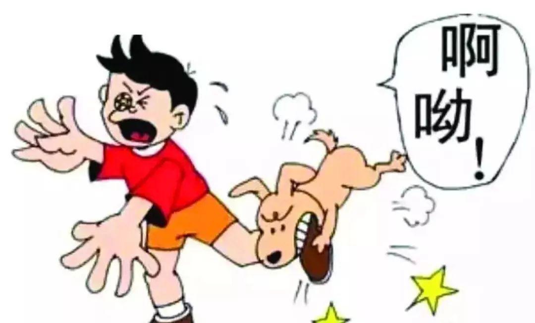 被宠物咬伤如何处理教案,被宠物咬伤该如何处理