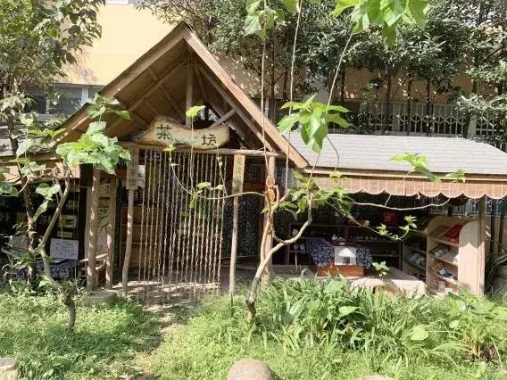 考察蒙氏幼儿园需要了解什么,蒙氏幼儿园东北探园