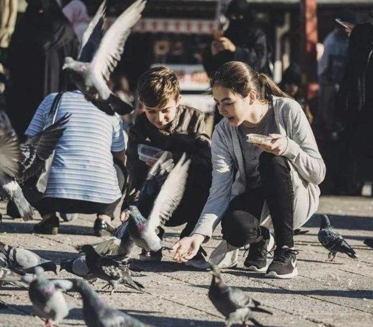 免费播放瓦尔特保卫萨拉热窝电影,老影片瓦尔特保卫萨拉热窝