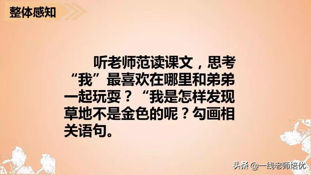 三年级语文金色的草地展现了什么,语文三年级上金色的草地课文讲解