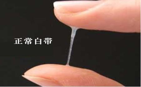 妇产科医生看妇科病吗,妇产科医生看哪些病