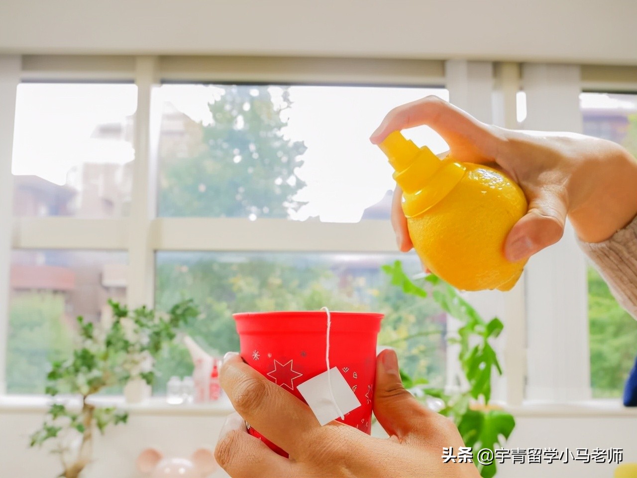 住在日本必买厨房用品,日本1000日元在便利店买什么