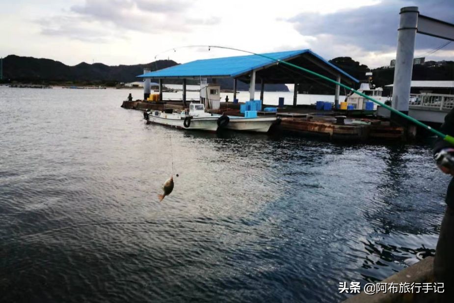 游钓鸣门海峡和濑户内海，天气不好，就算千年日本皇室渔场也不行