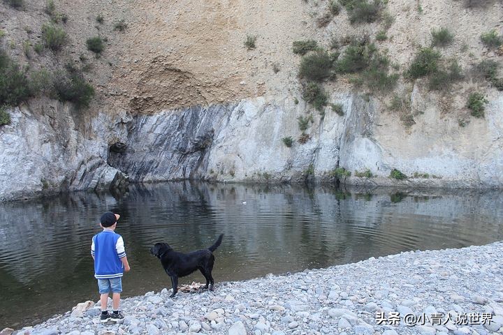 新西兰创业移民真实历程,新西兰的前景如何