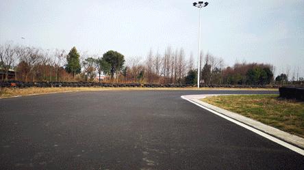 绍兴杭州湾海上花田100万郁金香等你来赏来赴一场春天的约会。