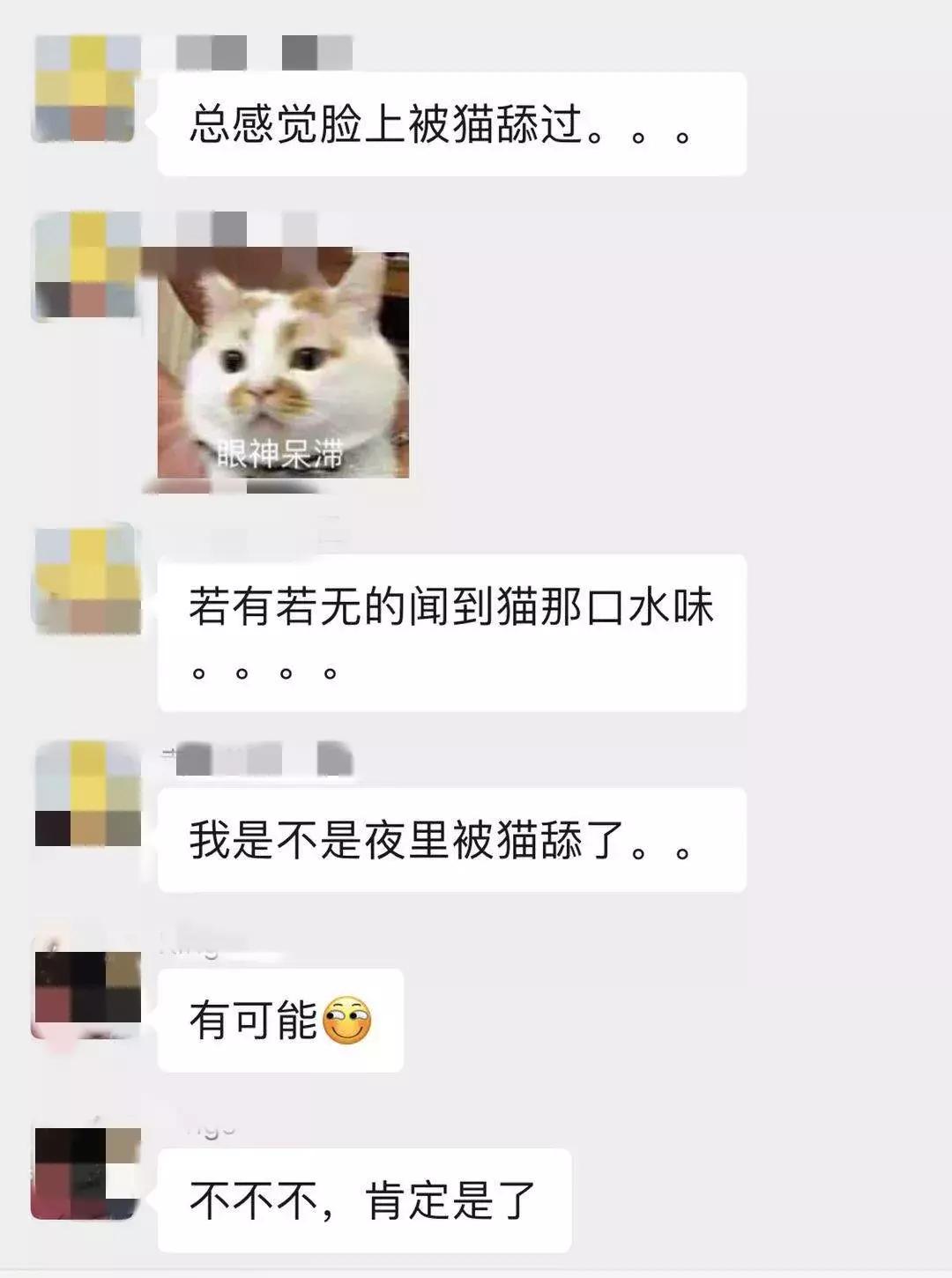 如果舔猫一口猫会怎样,猫猫能舔到全身吗