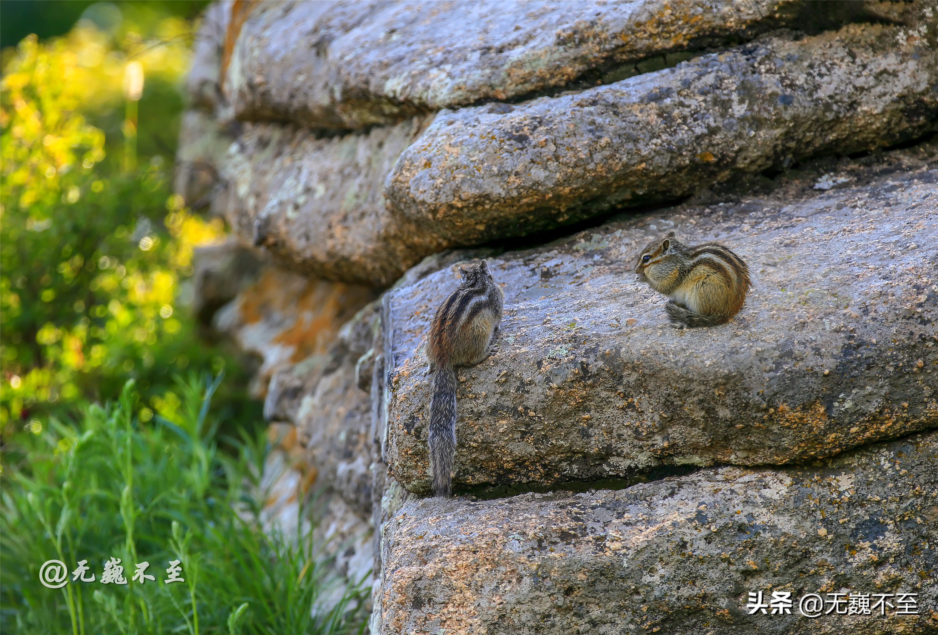 3天自驾克什克腾旗旅游攻略,内蒙古腾格里自驾游最佳路线