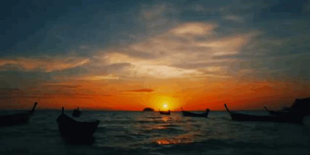 恋恋丽贝岛，人狗情未了|KohLipe