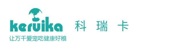 猫咪晚上不睡觉怎么办？「科瑞卡科普」