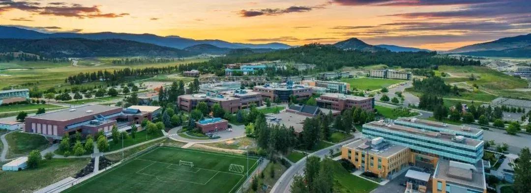 全球顶尖研究型大学,世界顶尖大学录取通知