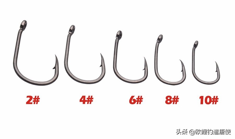 钓鱼也是一种技术,科学钓鱼的基本原理