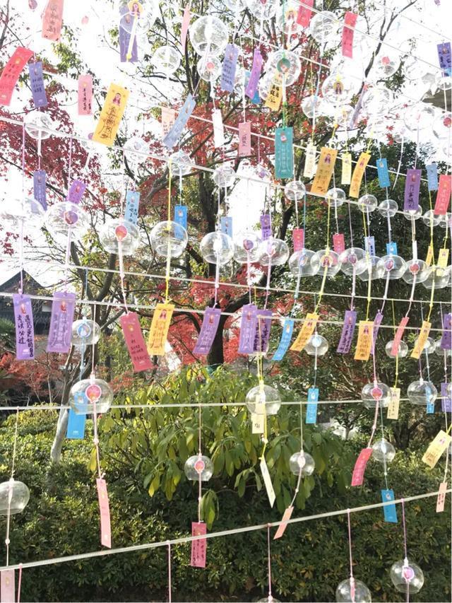 南京秋天旅行攻略,来南京体验秋天浪漫