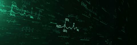 国际视野下的中国道路,国际视野下的中国机遇