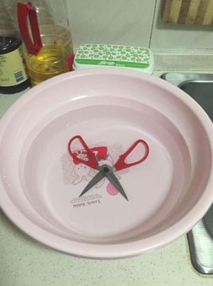 用了剪刀大法找东西但是没找到,用了剪刀大法猫咪还是没回来