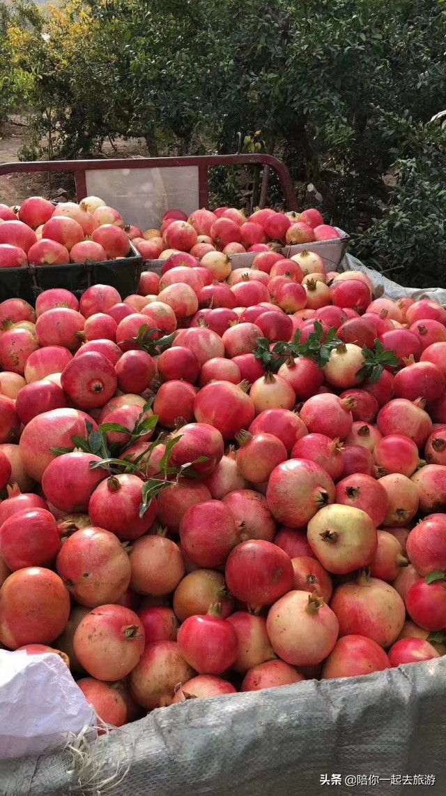 蚌埠火车站附近土特产店,安徽蚌埠十大特产