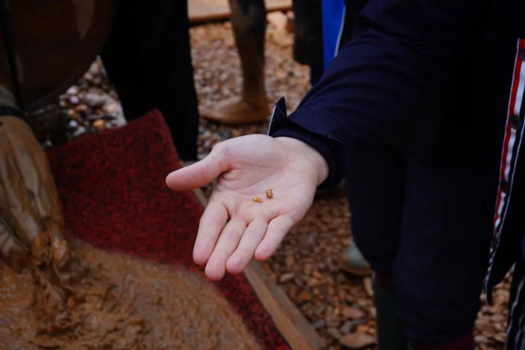 黄金金融的冷知识,黄金冷知识禁止废话