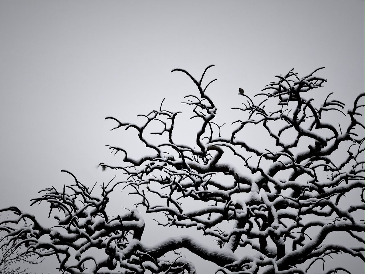 当三观不一致就会渐行渐远,当三观发生冲突时一定要向下兼容