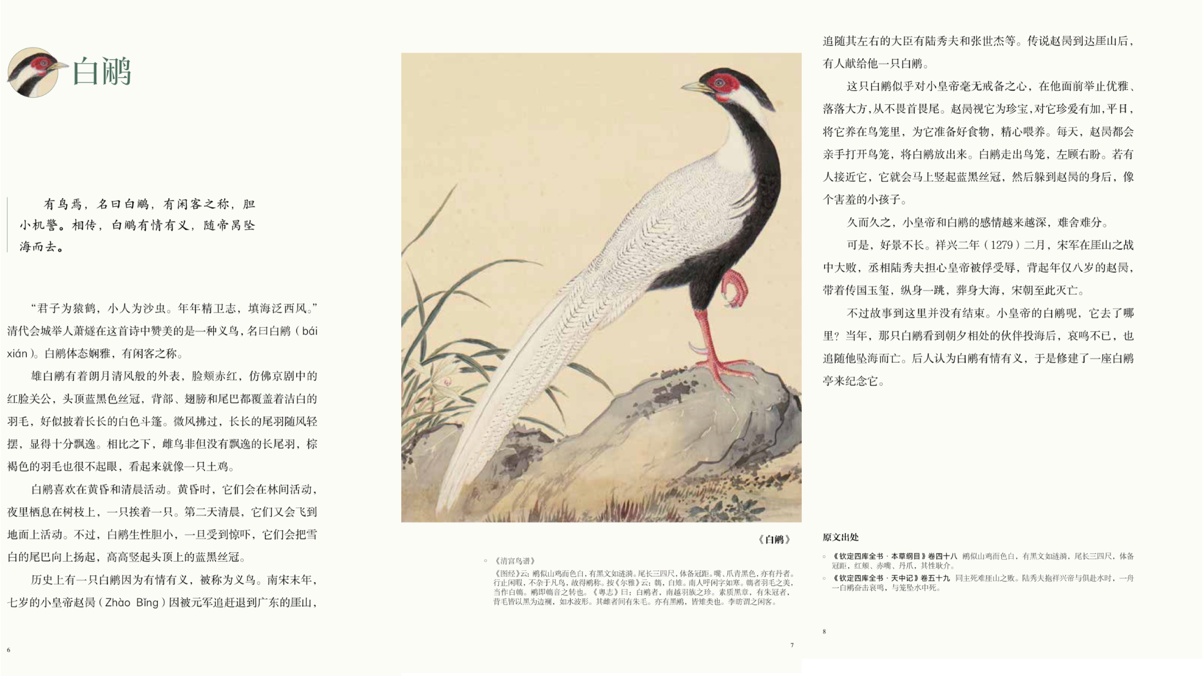 小学生发现11枚恐龙蛋化石,十岁男孩发现恐龙蛋化石