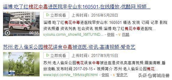 五月的槐花特别香,五月槐花香你不知道的事