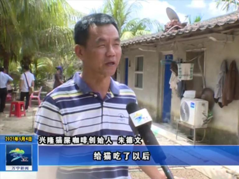 猫屎咖啡400元一斤,海南猫屎咖啡豆多少钱一斤