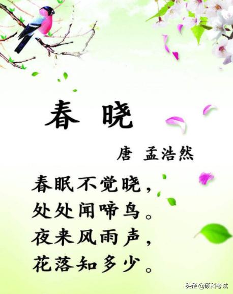 一年级下册必背古诗词,一年级古诗词下册