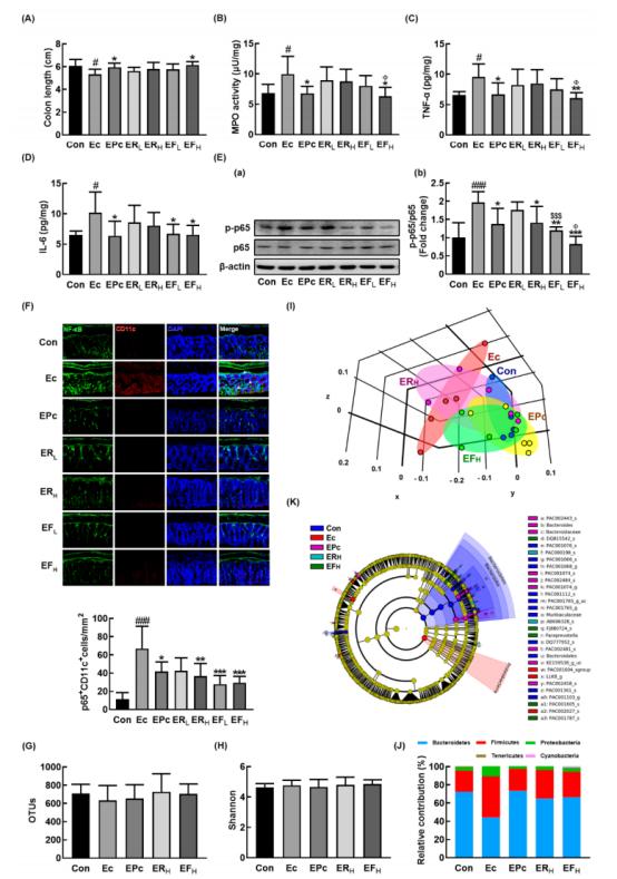 双歧杆菌可以治疗抑郁焦虑吗,抑郁患者吃双歧杆菌有用吗