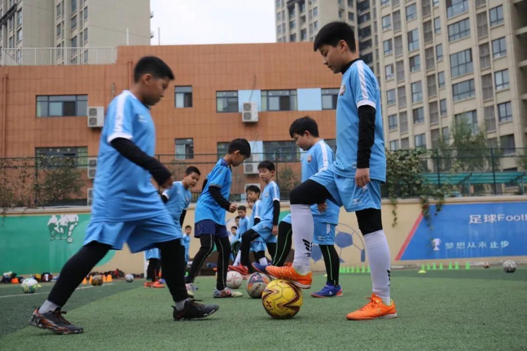 金水区文化绿城双语小学宣传片,郑州金水区融合教育试点小学