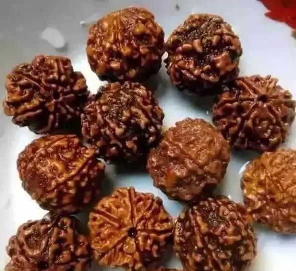 手串有白色小虫子,手串长虫子是什么原理