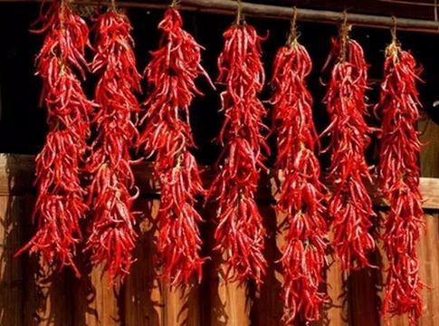 吃辣椒肚子疼一直上厕所,吃点辣椒就肚子疼拉肚子