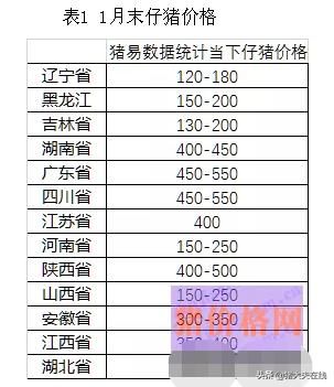 生猪采购需要规避哪些风险,今日猪市最新评价