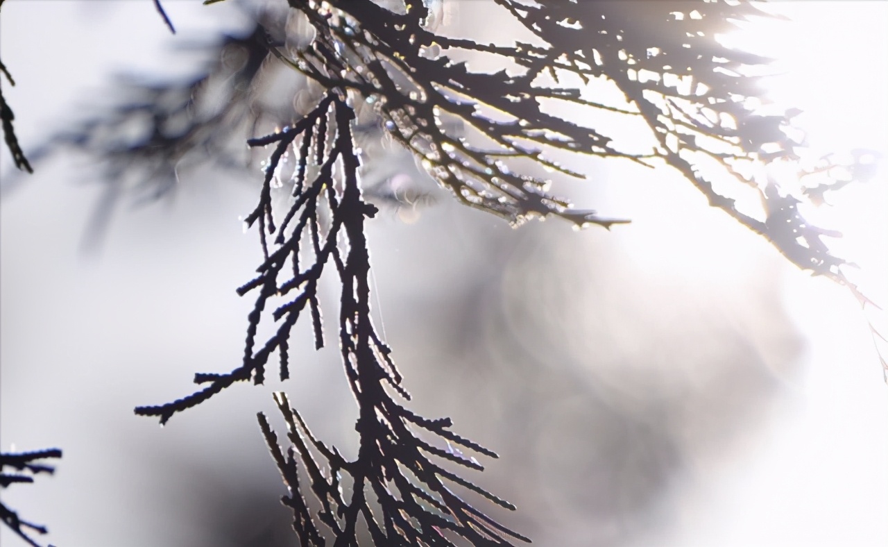 L鍗″彛闀跨劍闀滃ご,l鍗″彛70-300闀跨劍闀滃ご鎺ㄨ崘