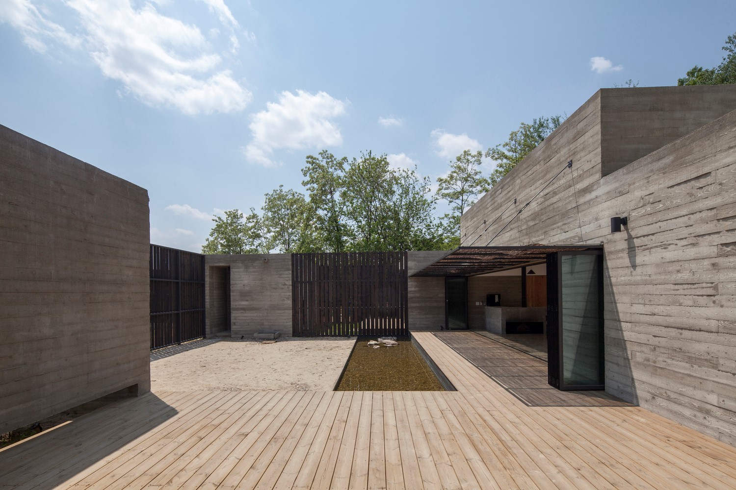 韩国蒲公英,韩国野生蒲公英的种植