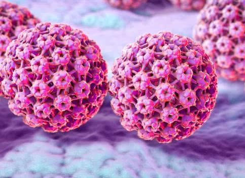 修女为什么容易得乳腺癌,为什么修女寿命短