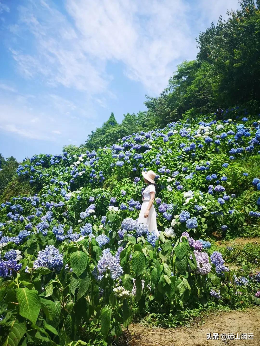 小米自拍杆使用教程,锐塔克自拍杆使用视频