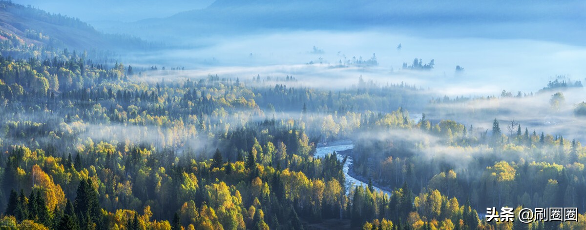 六年级作文一单元变形记范文,六上第一单元作文变形记优秀范文