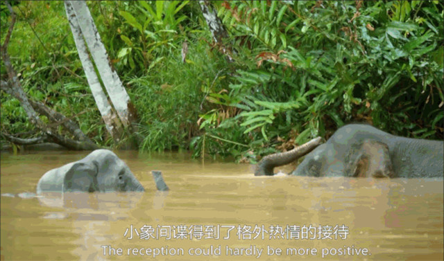 bbc有多有钱,bbc多有钱