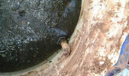 庭院养殖荷花怎么才能开花,有院子养什么花