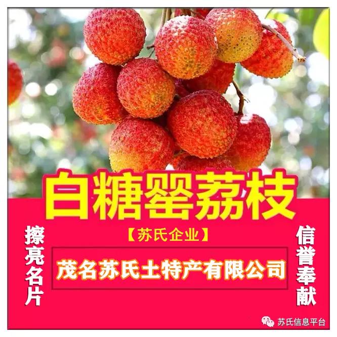 「苏商名片」茂名苏氏土特产有限公司「新品上市…快」