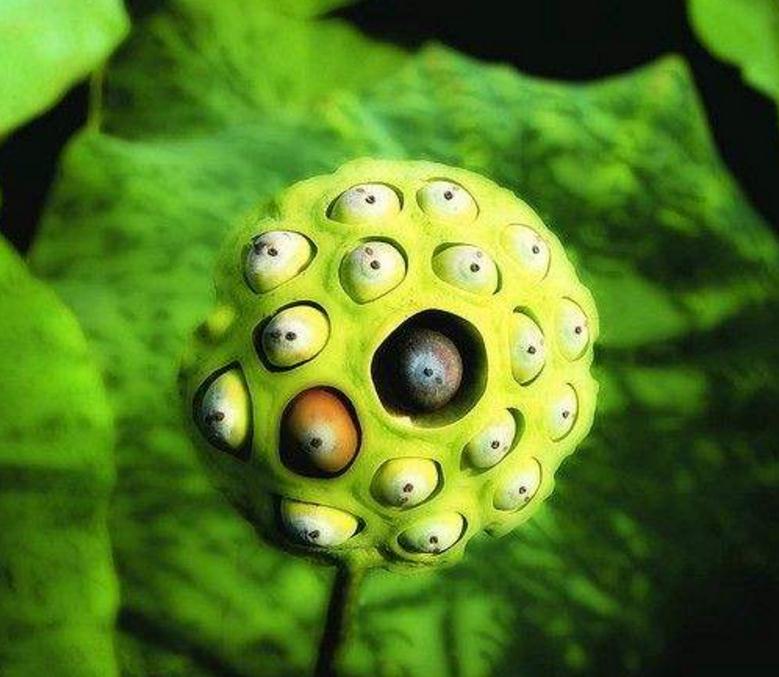 高僧说：人在红尘，这三件事看破别说破，才是真正地解脱，我懂了