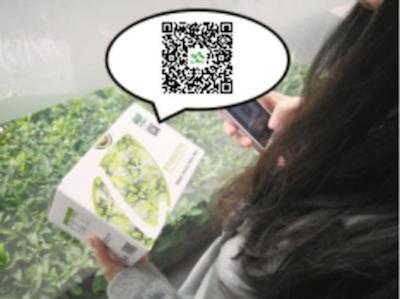 绿瘦产品纯天然,绿瘦产品有健康问题吗