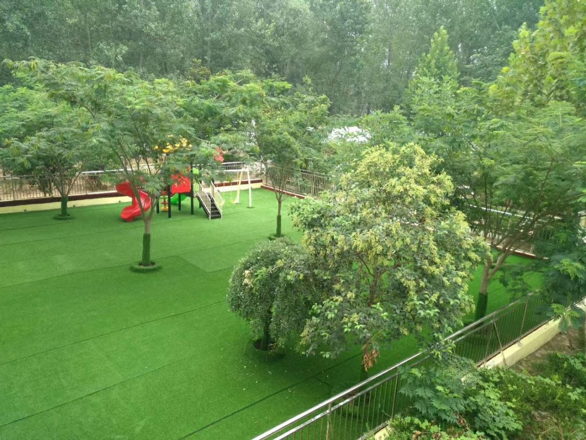 80后“白发校长”张鹏程:为了学生,不要“家”了