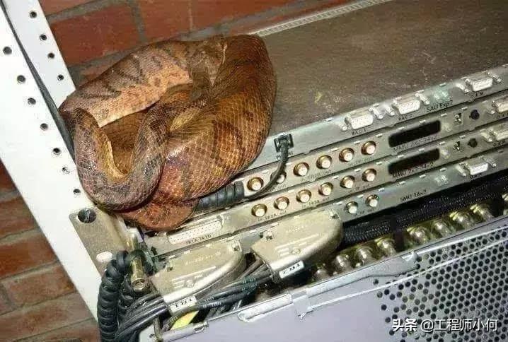 网优是干什么用的,网优有什么好处