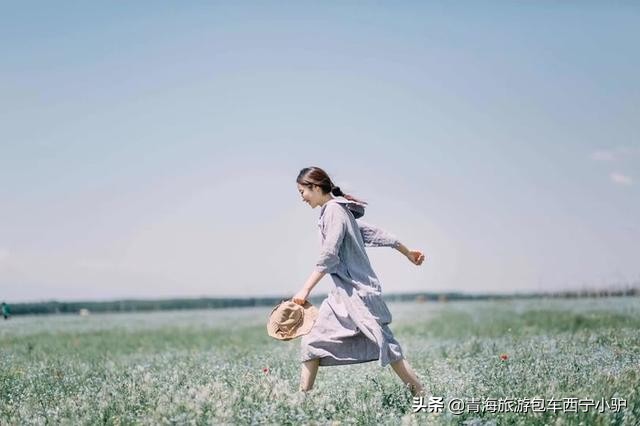 青甘深度大环线,青甘深度八日游