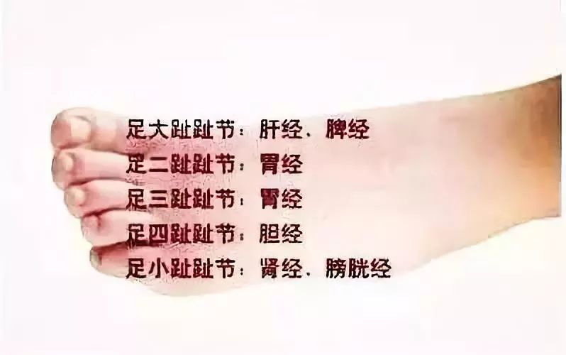 经络阻塞的四个阶段症状,人老腿先衰1个动作疏通6条经络