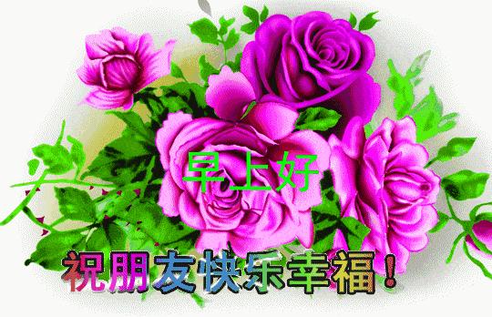 早上好周末愉快问候语动态表情包,周一问候早上好带字美图