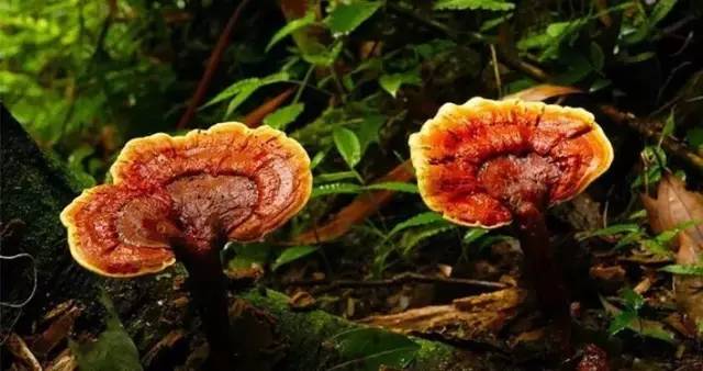 长沙身份证430102,长沙42开头的身份证