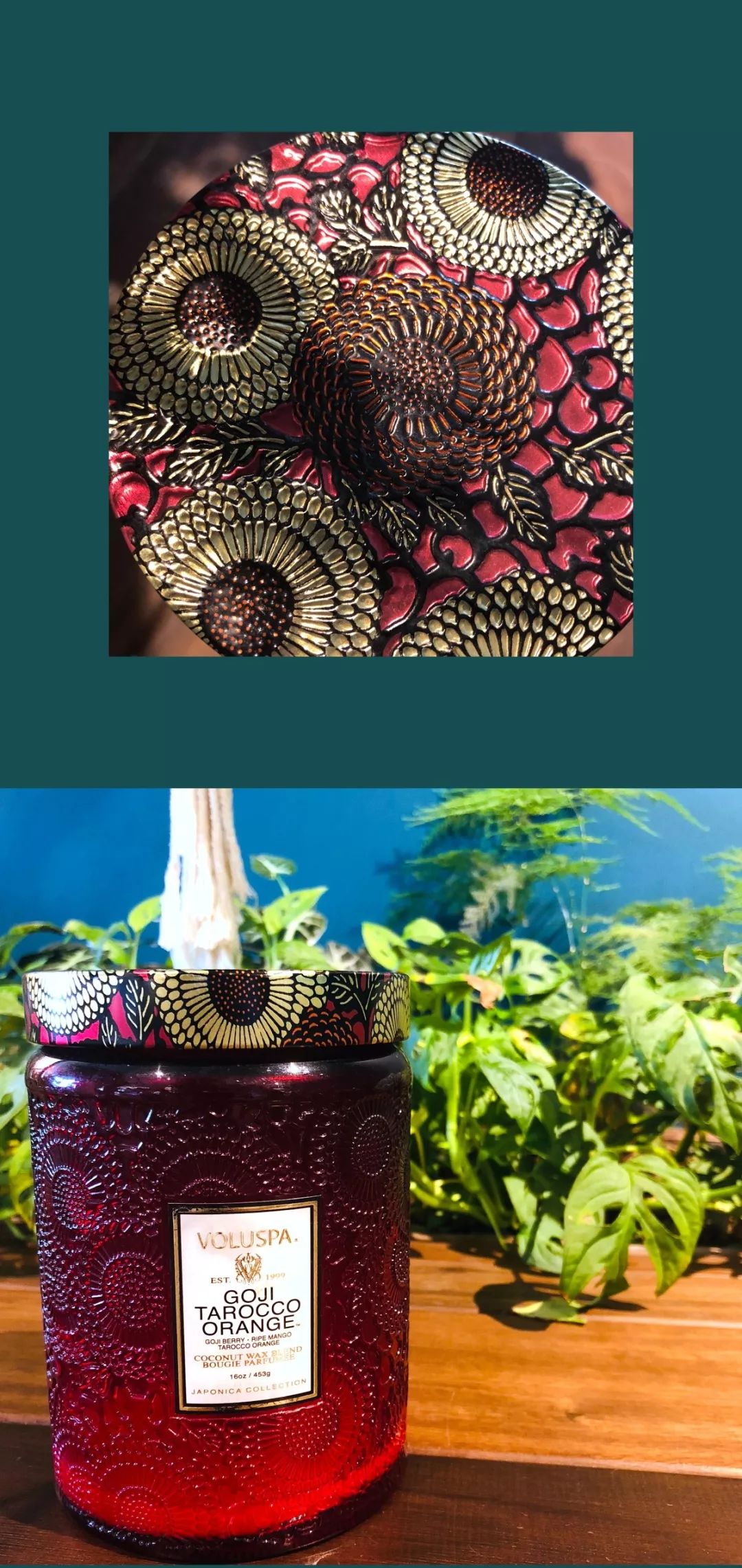 娴风洍鎯呮瓕 (閫冪娴风洍鎯呮瓕)