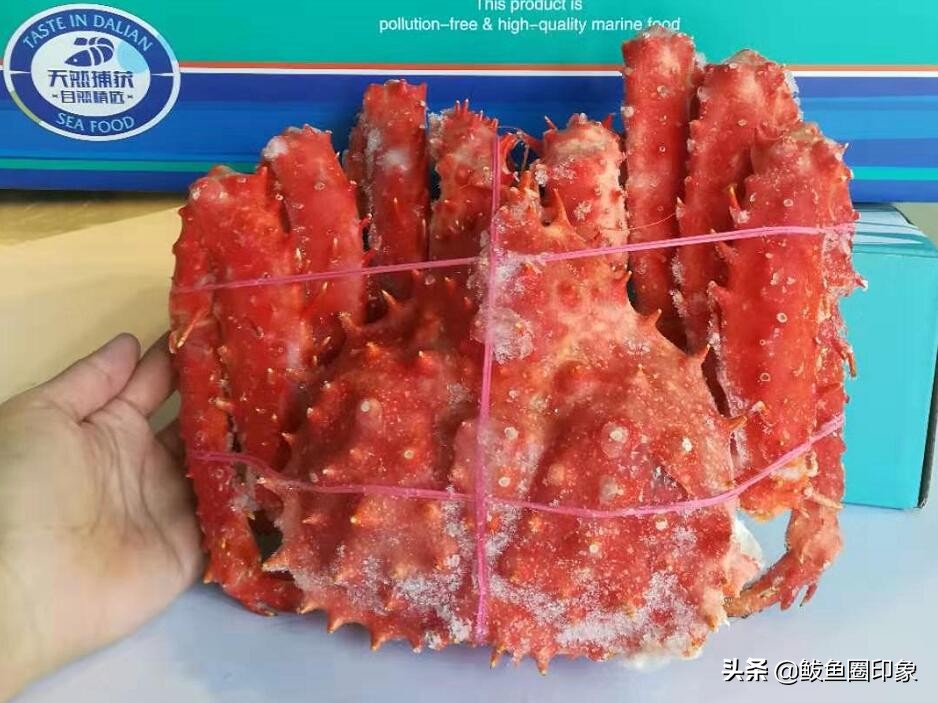 最近网上卖海鲜,为啥直播都在卖海鲜