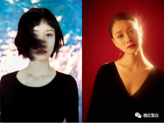 哪个明星拍过内衣广告,拍内衣广告的女明星