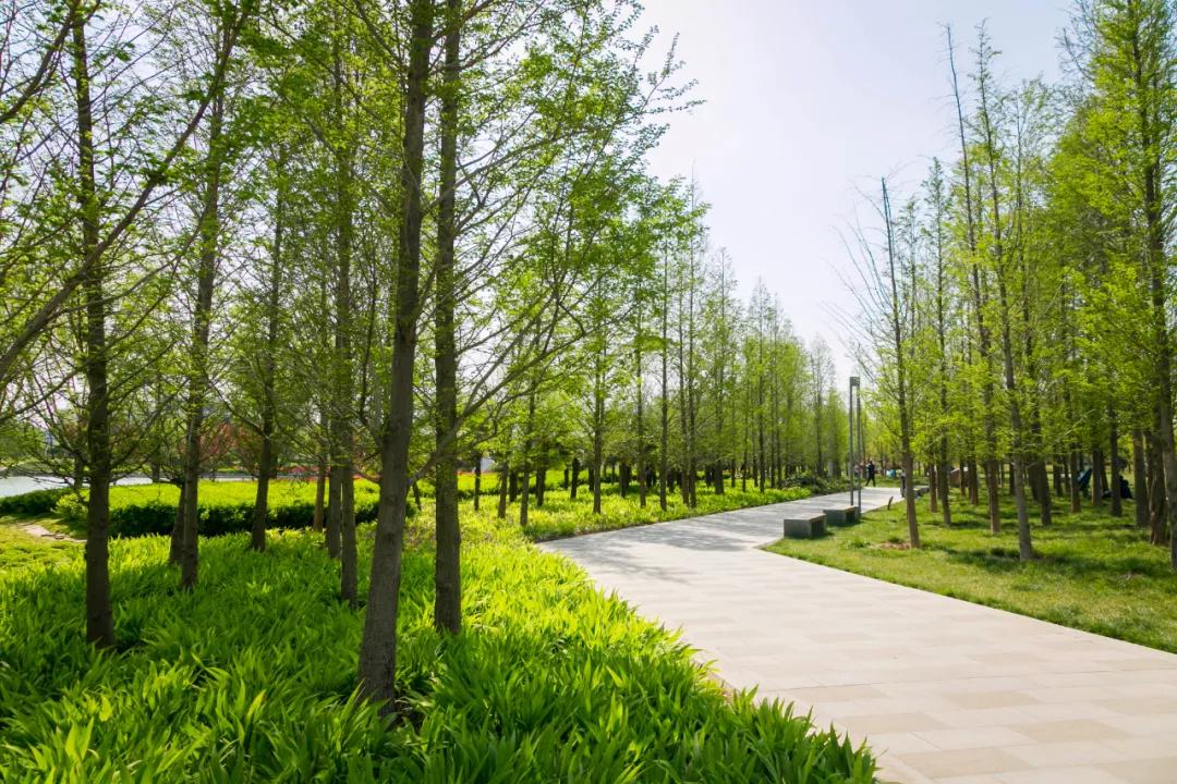 郑州亲子游户外公园十大排行榜,郑州免费适合遛娃玩的公园